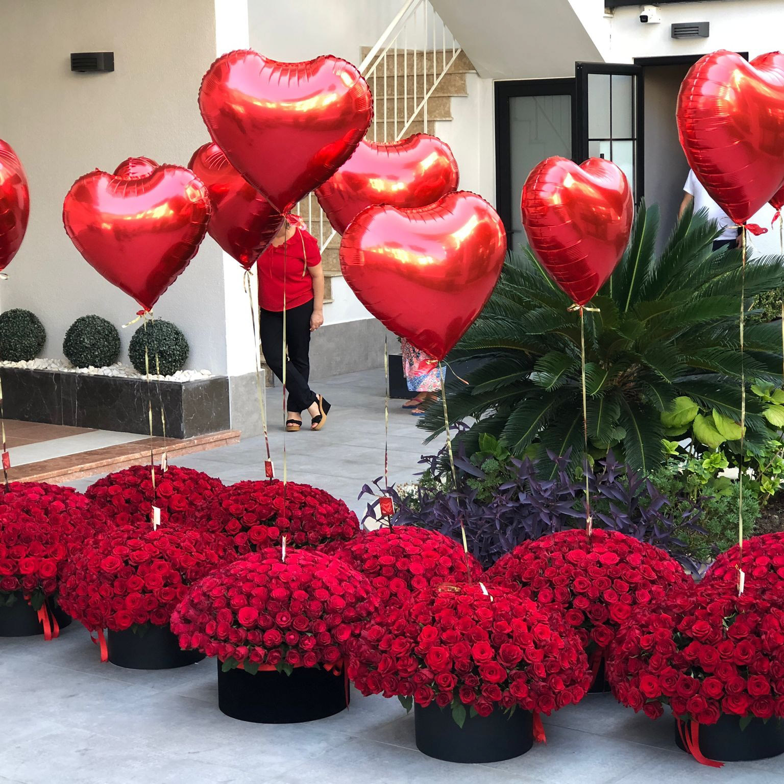  Antalya Lara Çiçekçiler Vip 1001 gül balon